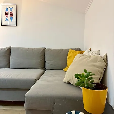 Apartment Tortoise