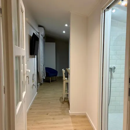 Apartment Tortoise