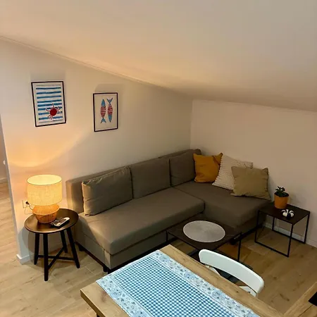 Apartment Tortoise