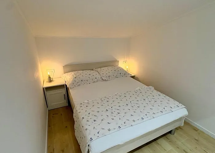 Tortoise * Crikvenica