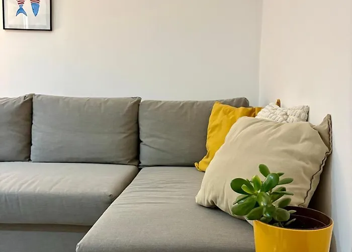 Appartement Tortoise