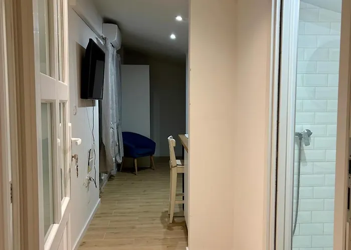 Appartement Tortoise