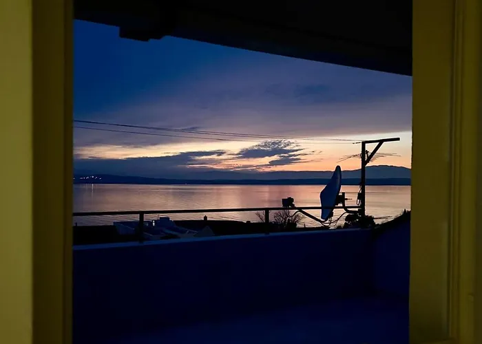 Tortoise Appartement Crikvenica